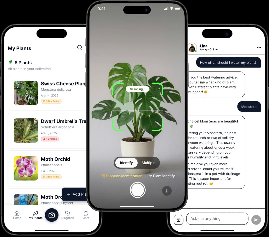 Plant Identifier app screenshot