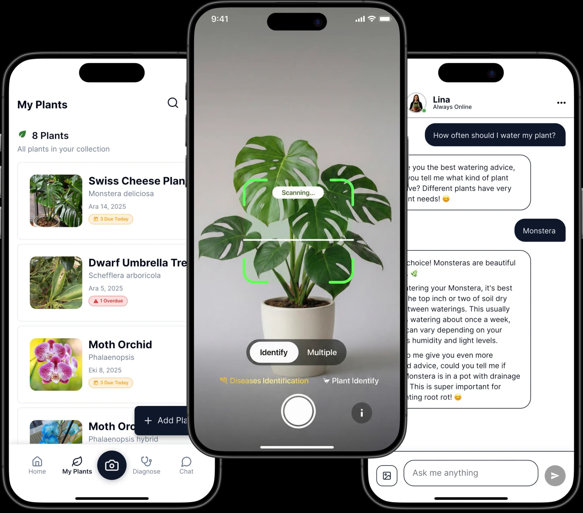 Plant Identifier
